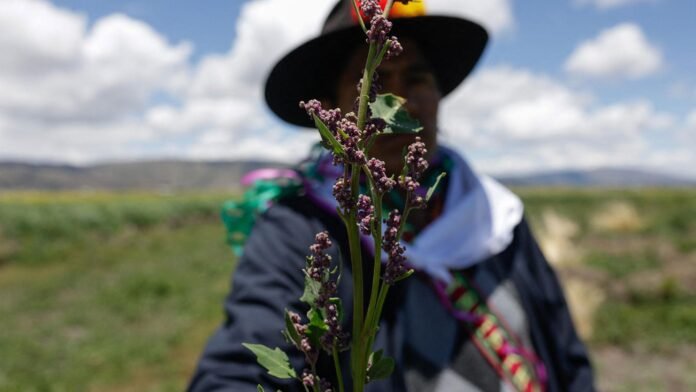 indigenous-cultural-practices-are-a-climate-solution,-report-finds