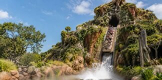 boy-injured-in-50-foot-fall-from-disneyland-ride