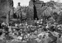 sa’ar-proposes-official-israeli-recognition-of-armenian-genocide