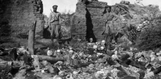 sa’ar-proposes-official-israeli-recognition-of-armenian-genocide