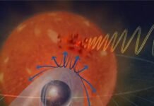 planet-orbits-so-close-to-its-star-that-their-magnetic-fields-connect