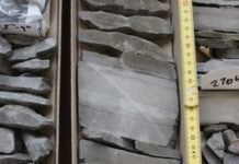 feedbacks-upon-feedbacks:-rock-weathering-and-the-climate