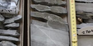 feedbacks-upon-feedbacks:-rock-weathering-and-the-climate