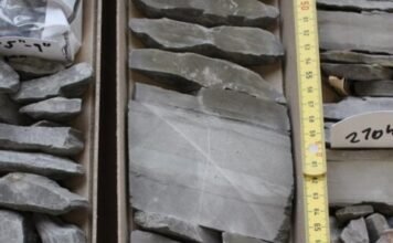 feedbacks-upon-feedbacks:-rock-weathering-and-the-climate