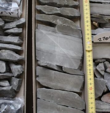 feedbacks-upon-feedbacks:-rock-weathering-and-the-climate