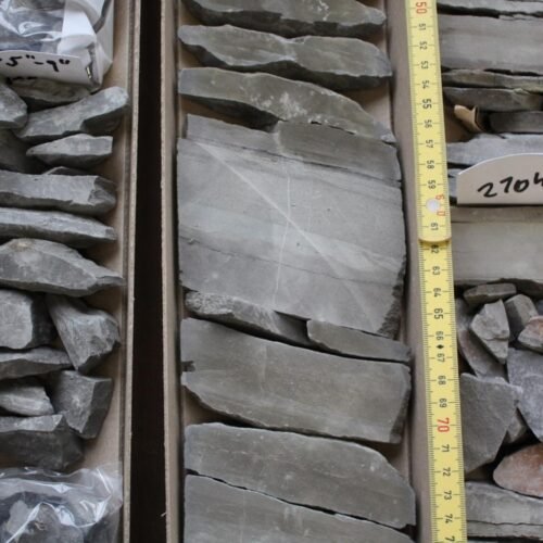 feedbacks-upon-feedbacks:-rock-weathering-and-the-climate
