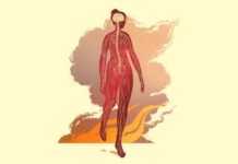 how-climate-change-gets-under-the-skin