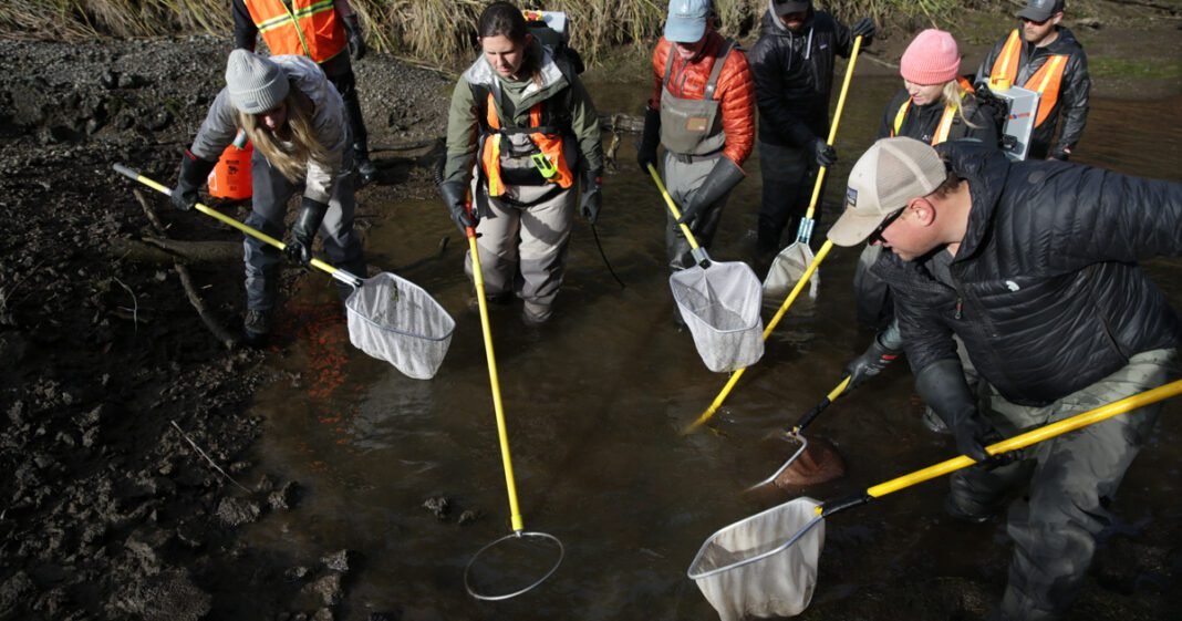 oregon-leaders-are-trying-to-save-the-deschutes-river-here’s-why-that’s-so-hard.