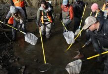 oregon-leaders-are-trying-to-save-the-deschutes-river-here’s-why-that’s-so-hard.