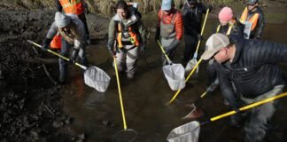 oregon-leaders-are-trying-to-save-the-deschutes-river-here’s-why-that’s-so-hard.