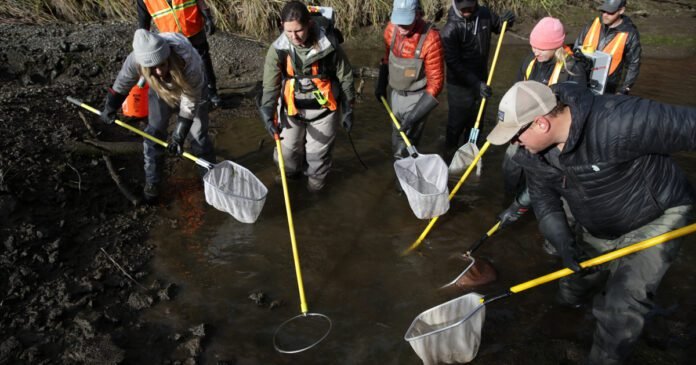 oregon-leaders-are-trying-to-save-the-deschutes-river-here’s-why-that’s-so-hard.