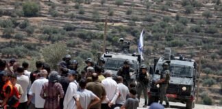 palestinian-injured,-2-arrested-in-israeli-raids-across-occupied-west-bank