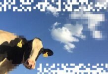 cow-manure-could-be-the-next-data-center-fuel