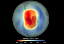 ozone-loss-was-a-thing-even-before-cfcs-were-widely-used