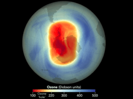 ozone-loss-was-a-thing-even-before-cfcs-were-widely-used