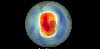 ozone-loss-was-a-thing-even-before-cfcs-were-widely-used
