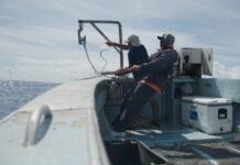 for-puerto-rico’s-fishers,-climate-change-isn’t-the-only-challenge-—-being-left-to-adapt-alone-is-another