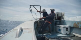 for-puerto-rico’s-fishers,-climate-change-isn’t-the-only-challenge-—-being-left-to-adapt-alone-is-another