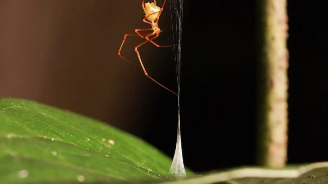 june-research-roundup:-6-cool-science-stories-we-almost-missed june-research-roundup:-6-cool-science-stories-we-almost-missed