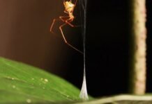 June research roundup: 6 cool science stories we almost missed june-research-roundup:-6-cool-science-stories-we-almost-missed