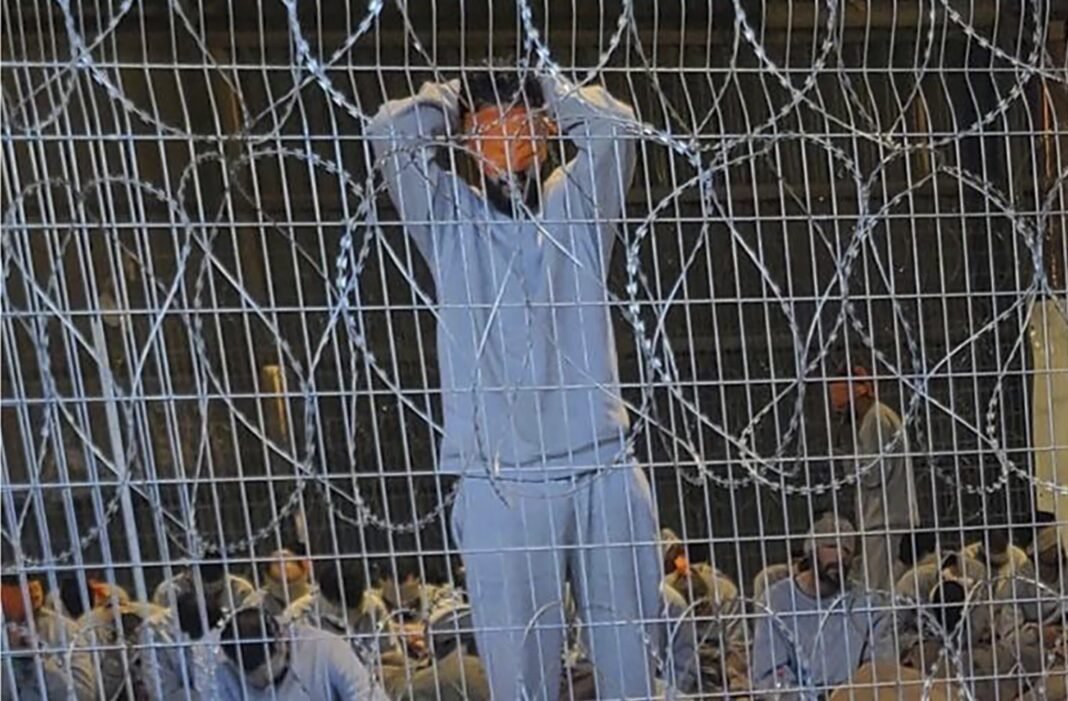 how-to-show-that-israel’s-sexual-violence-against-palestinians-is-systemic-—-and-has-gone-on-for-decades