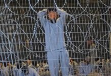 How to Show That Israel’s Sexual Violence Against Palestinians Is Systemic — and Has Gone on for Decades how-to-show-that-israel’s-sexual-violence-against-palestinians-is-systemic-—-and-has-gone-on-for-decades