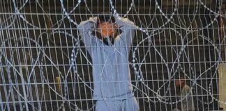 how-to-show-that-israel’s-sexual-violence-against-palestinians-is-systemic-—-and-has-gone-on-for-decades