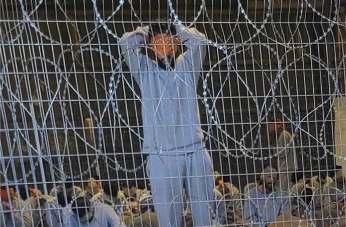 how-to-show-that-israel’s-sexual-violence-against-palestinians-is-systemic-—-and-has-gone-on-for-decades