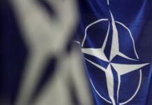 NATO drills in US showcase allied unity despite political tensions nato-drills-in-us-showcase-allied-unity-despite-political-tensions