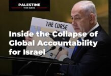 Inside the Collapse of Global Accountability for Israel | Palestine This Week inside-the-collapse-of-global-accountability-for-israel-|-palestine-this-week