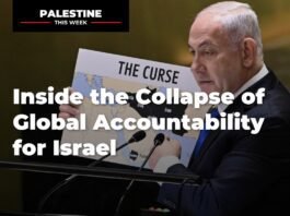 Inside the Collapse of Global Accountability for Israel | Palestine This Week inside-the-collapse-of-global-accountability-for-israel-|-palestine-this-week