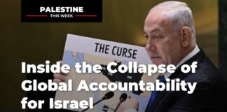 Inside the Collapse of Global Accountability for Israel | Palestine This Week inside-the-collapse-of-global-accountability-for-israel-|-palestine-this-week