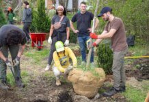 Urban trees aren’t just nice, scientists say — they’re mandatory urban-trees-aren’t-just-nice,-scientists-say-—-they’re-mandatory