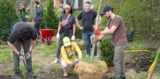 urban-trees-aren’t-just-nice,-scientists-say-—-they’re-mandatory