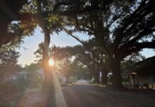 hyundai’s-new-steel-mill-sparks-hopes-and-fears-in-louisiana