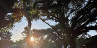 hyundai’s-new-steel-mill-sparks-hopes-and-fears-in-louisiana