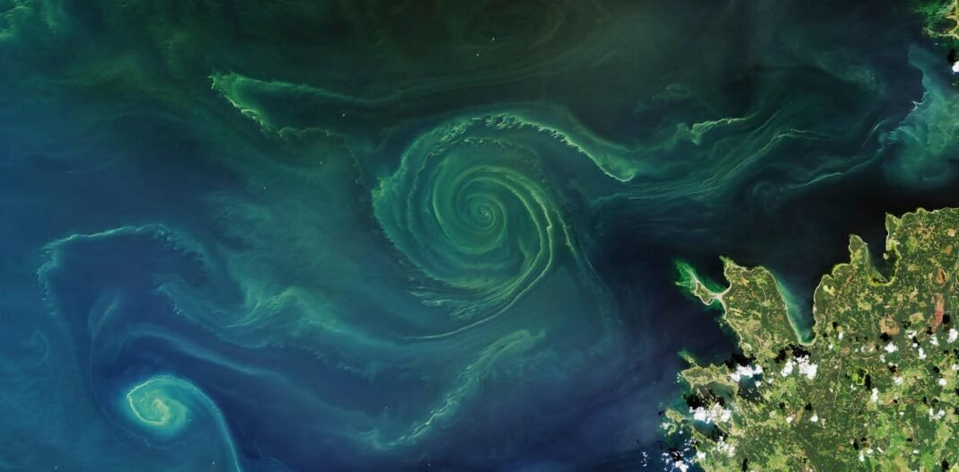 nanobubbles-cleaned-up-the-lincoln-reflecting-pool:-here’s-how-they-could-be-used-on-dying-seas-and-lakes nanobubbles-cleaned-up-the-lincoln-reflecting-pool:-here’s-how-they-could-be-used-on-dying-seas-and-lakes