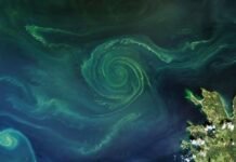 Nanobubbles cleaned up the Lincoln reflecting pool: here’s how they could be used on dying seas and lakes nanobubbles-cleaned-up-the-lincoln-reflecting-pool:-here’s-how-they-could-be-used-on-dying-seas-and-lakes