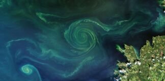 nanobubbles-cleaned-up-the-lincoln-reflecting-pool:-here’s-how-they-could-be-used-on-dying-seas-and-lakes