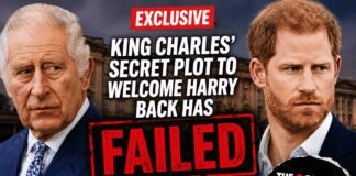 king-charles’-secret-plan-to-bring-harry-back-‘fails-miserably’