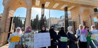 ‘representation-is-not-just-numbers’:-syrian-women-push-for-real-political-power