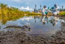funding-the-fight-against-corporate-polluters
