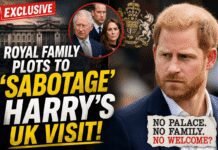 Royal Family Plotting to ‘Drown Out’ Prince Harry? royal-family-plotting-to-‘drown-out’-prince-harry?
