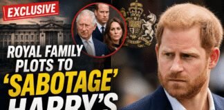 royal-family-plotting-to-‘drown-out’-prince-harry?