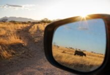 the-first-major-overhaul-of-public-lands-grazing-regulations-in-a-generation-looks-to-cut-out-public-involvement