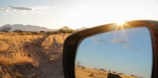 the-first-major-overhaul-of-public-lands-grazing-regulations-in-a-generation-looks-to-cut-out-public-involvement