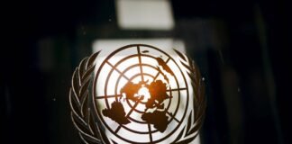 save-the-united-nations-by-abolishing-the-security-council