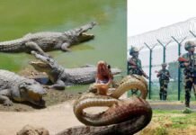 the-border-killing-fields-separating-india-and-bangladesh