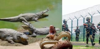 the-border-killing-fields-separating-india-and-bangladesh