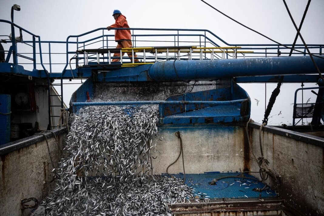 el-nino-is-here,-and-it’s-already-scrambling-fisheries-throughout-the-pacific